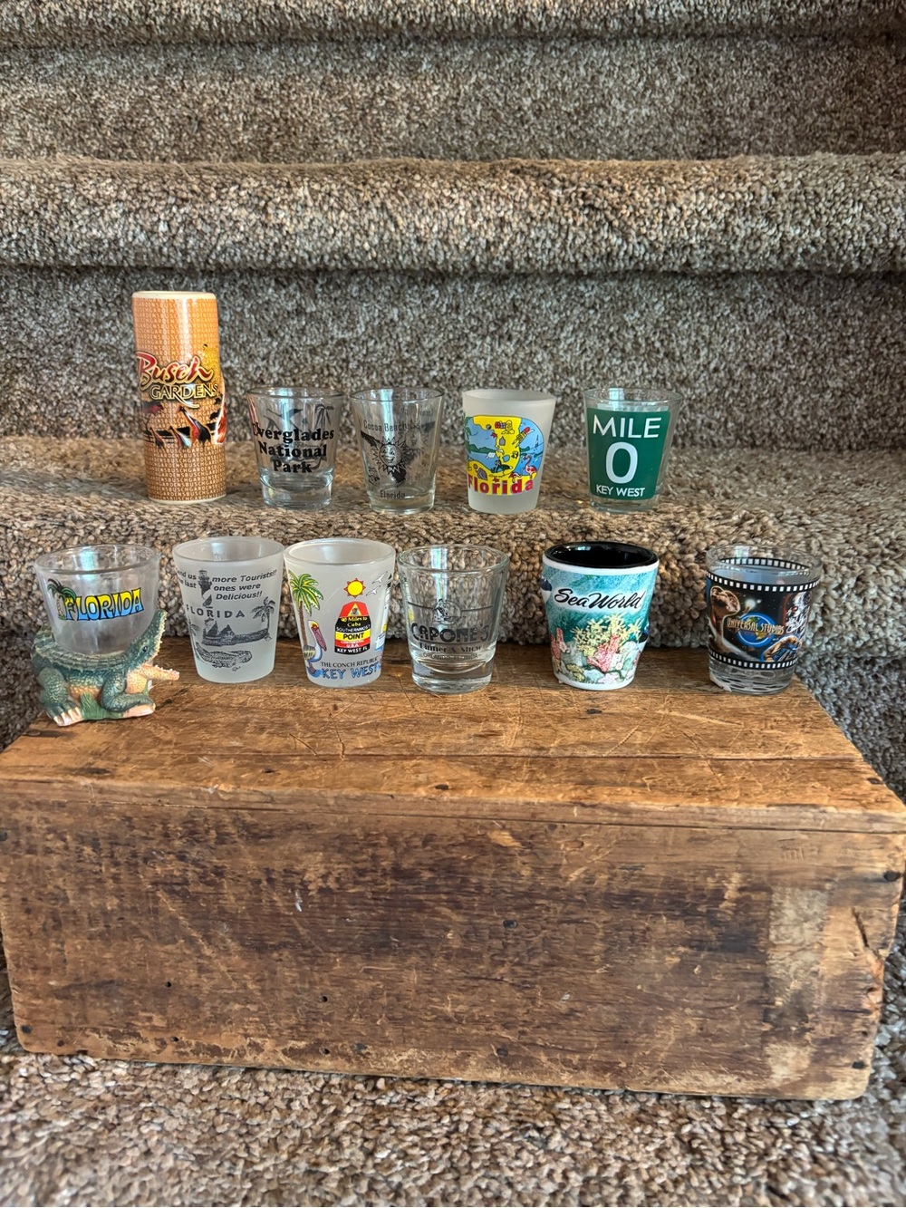 Assorted Florida Souvenir Shot Glass Set - Mixed Colors